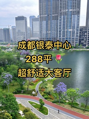 成都豪宅房产信息咨询